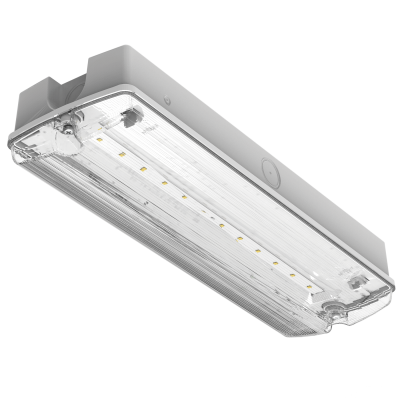 Darwell 3W Emergency LED Bulkhead 6000K IP65