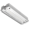 Darwell 3W Emergency LED Bulkhead 6000K IP65