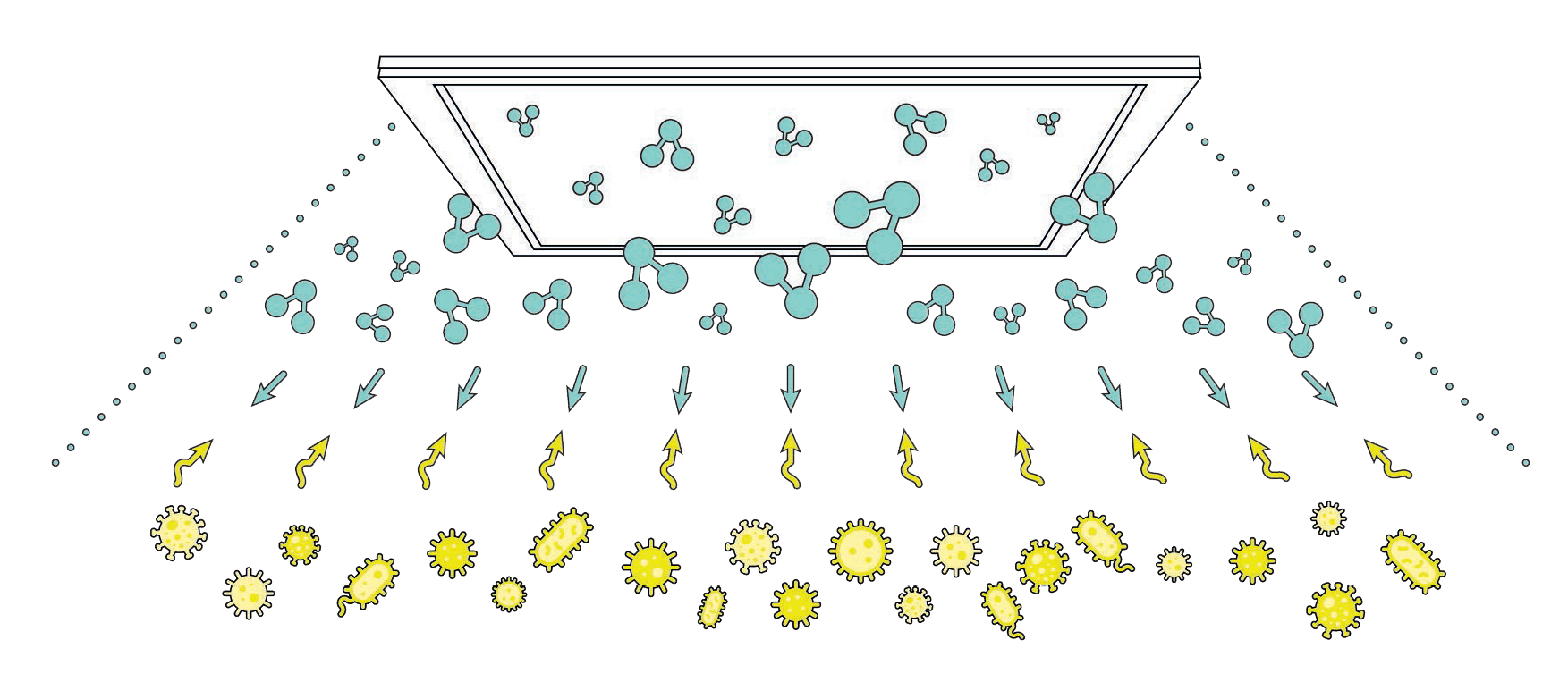 CleanLight Anti-Microbial LED Panel Light